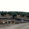 Fuente Aladid